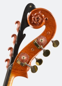 Basse_Cosmique_Tete aigus.jpg